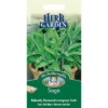 Mr. Fothergill's Sage (Salvia Officinalis) Seeds 2 Mr. Fothergill's Sage (Salvia Officinalis) Seeds -Shed And Soil Sales 12804291 1064895131414362