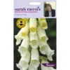 Sarah Ravens Foxglove Alba Seeds -Shed And Soil Sales 12804439 1734831420684296
