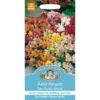 Mr. Fothergill's Antirrhinum Tom Thumb Mixed Seeds -Shed And Soil Sales 12806199 1994831944495195