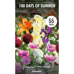 None 100 Days Collection Spring Bulbs -Shed And Soil Sales 12807874 1605020399243884