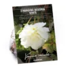 None Begonia - White - Summer Bloom Bulbs -Shed And Soil Sales 12807884 7495020399365603