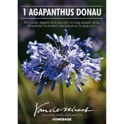 None Agapanthus Donau -Shed And Soil Sales 12807995 3335020399573470