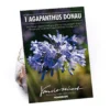 None Agapanthus Donau -Shed And Soil Sales 12807995 5655020399522977