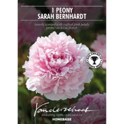 None Paeonia - Summer Bloom Bulbs -Shed And Soil Sales 12808001 2125020399573602