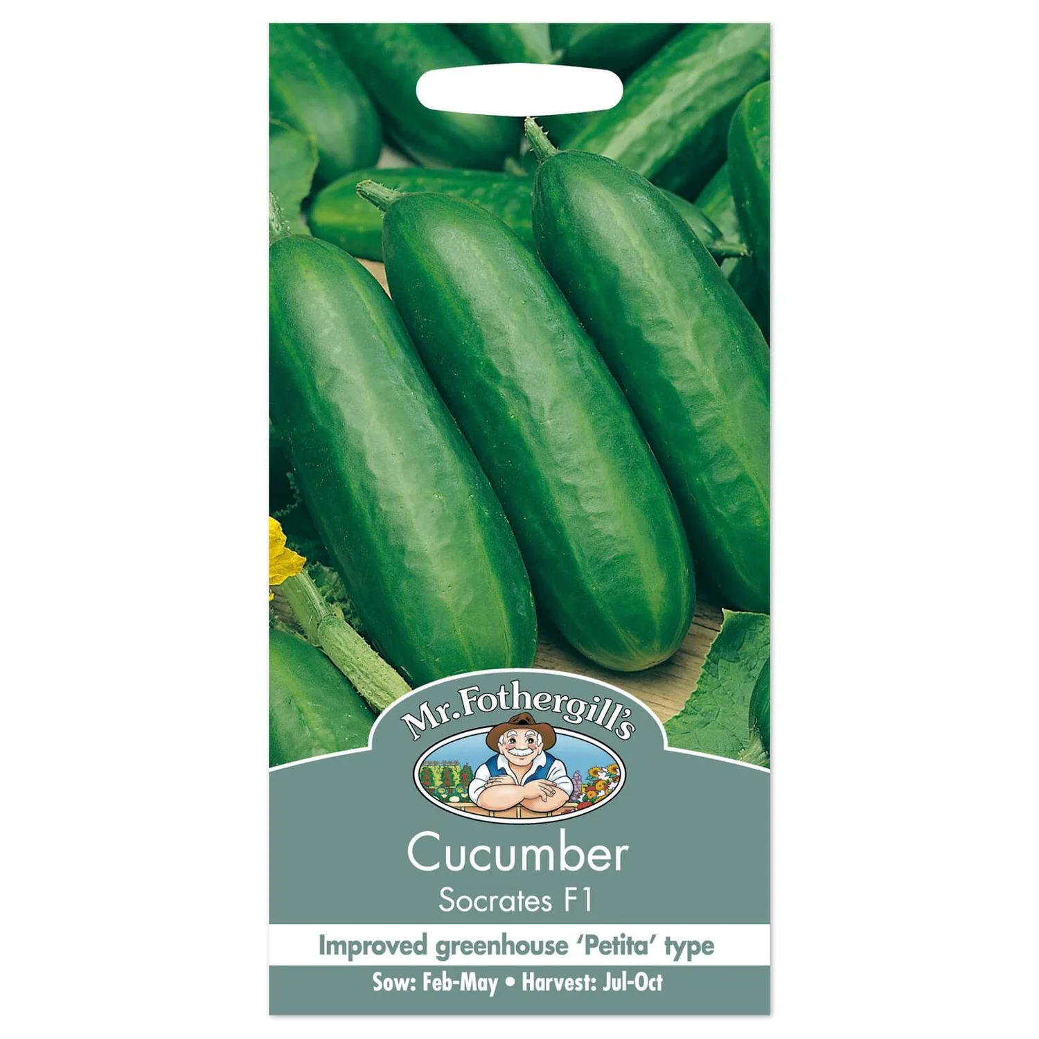 Mr. Fothergill's Cucumber Socrates F1 Seeds 3 Mr. Fothergill's Cucumber Socrates F1 Seeds