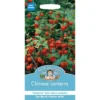 Mr. Fothergill's Chinese Lanterns (Physalis Alkekengi) Seeds -Shed And Soil Sales 12808435 3244831948663632