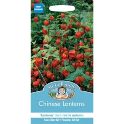 Mr. Fothergill's Chinese Lanterns (Physalis Alkekengi) Seeds