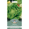 Mr. Fothergill's Lettuce All The Year Round (Lactuca Sativa) Seeds -Shed And Soil Sales 12809306 1544831907707476
