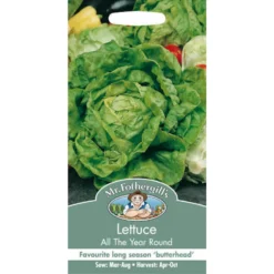 Mr. Fothergill's Lettuce All The Year Round (Lactuca Sativa) Seeds
