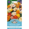 Mr. Fothergill's Californian Poppy Monarch Art Shades (Eschscholzia Californica) Seeds -Shed And Soil Sales 12810274 8624831966005885