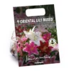 None Mixed Lilies - Summer Bloom Bulbs -Shed And Soil Sales 12810510 8765020398928287
