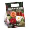 None Mixed Unwin Dahlia's - Summer Bloom Bulbs -Shed And Soil Sales 12810511 1815020399040286
