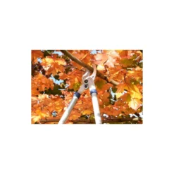 Spear & Jackson Razorsharp Tele Bypass Lopper -Shed And Soil Sales 12810811 1464833196929633