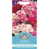 Mr. Fothergill's Godetia Azalea Flowered Mixed (Clarkia Amoena) Seeds -Shed And Soil Sales 12812447 4574831966720776