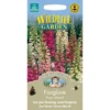 Mr. Fothergill's Foxglove Foxy Mixed (Digitalis Purpurea) Seeds -Shed And Soil Sales 12815059 1274831958518431