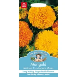 Mr. Fothergill's Marigold African Crackerjack Mixed (Tagetes Erecta) Seeds