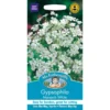 Mr. Fothergill's Gypsophilia Monarch White Seeds -Shed And Soil Sales 12819956 1784831950991092