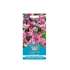 Mr. Fothergill's Sweet Pea Pandemonium Seeds -Shed And Soil Sales 12820103 1544846167958095