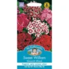 Mr. Fothergill's Sweet William Monarch Mixed Seeds -Shed And Soil Sales 12820107 2154831962624051