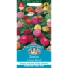 Mr. Fothergill's Zinnia Sunbow Mixed Seeds -Shed And Soil Sales 12820113 1954831962911943