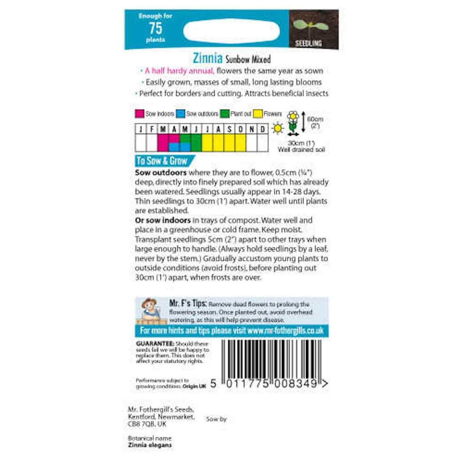 Mr. Fothergill's Zinnia Sunbow Mixed Seeds 4 Mr. Fothergill's Zinnia Sunbow Mixed Seeds - Image 2