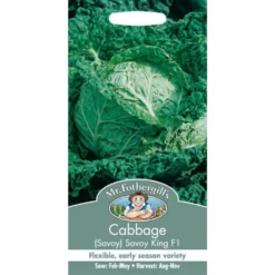 Mr. Fothergill's Cabbage Savoy King F1 Seeds