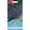 Mr. Fothergill's Lobelia Sapphire Trailing (Lobelia Erinus) Seeds -Shed And Soil Sales 12820527 1364831943420709