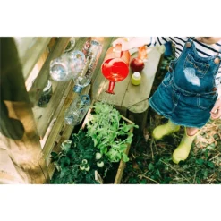 Plum Discovery Mud Pie Kitchen 15 Plum Discovery Mud Pie Kitchen -Shed And Soil Sales 12821520 7764957305110193