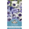Mr. Fothergill's Cornflower Classic Fantastic -Shed And Soil Sales 12827461 1374831918154907