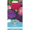 Mr. Fothergill's Aster Ostrich Feather Seeds -Shed And Soil Sales 12829000 1024831589670123