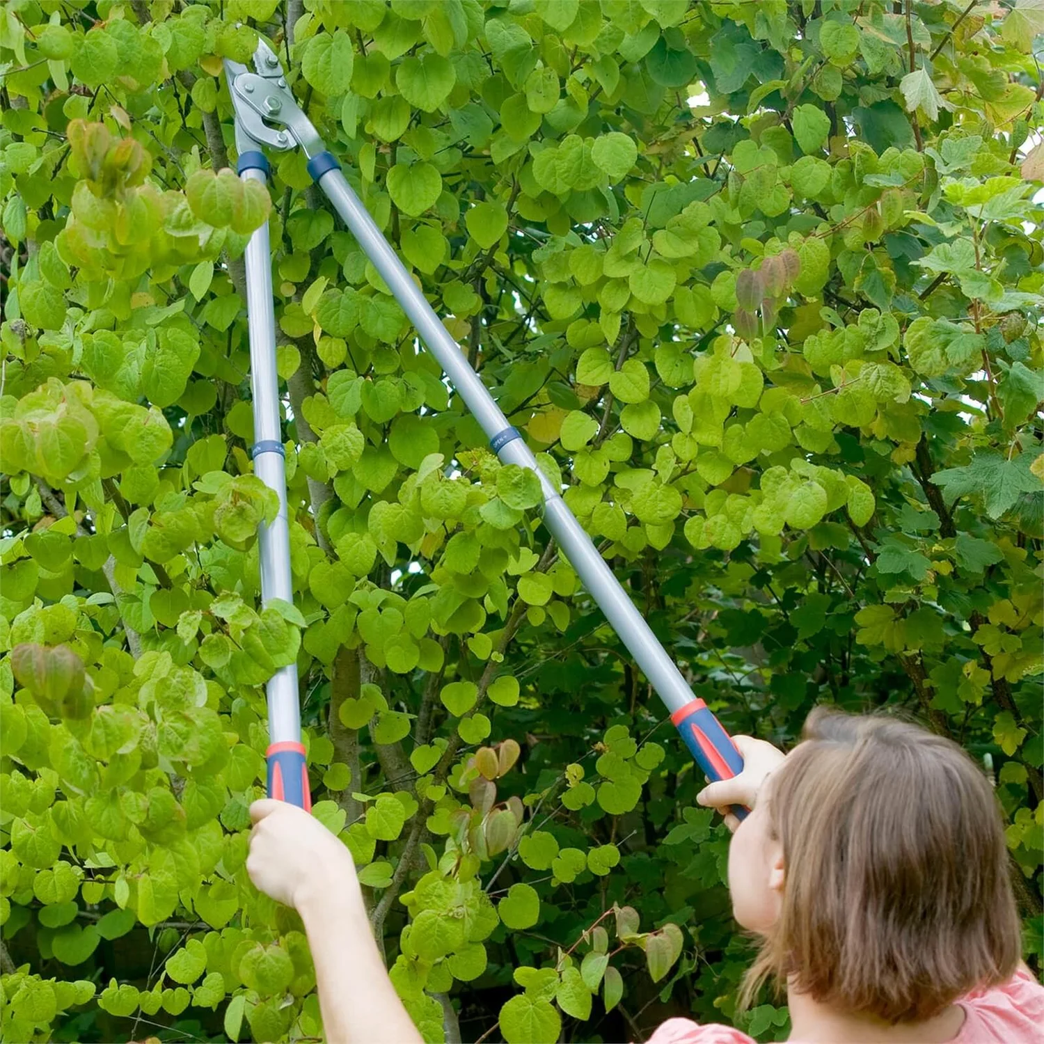 Spear & Jackson Razorsharp Tele Anvil Lopper 4 Spear & Jackson Razorsharp Tele Anvil Lopper - Image 2