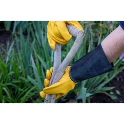 Westland Luxury Leather Gauntlet Gloves 7 Westland Luxury Leather Gauntlet Gloves -Shed And Soil Sales 12835847 2395012509238073