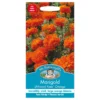 Mr. Fothergill's African Marigold Kees Orange Seeds -Shed And Soil Sales 12842085 6954831947774069