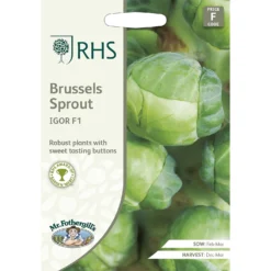RHS Brussels Sprout Igor F1 Seeds