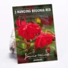 None Hanging Begonia Red -Shed And Soil Sales 12882824 1105020399972737