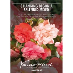 None Hanging Begonia Splendid Mixed Flower Bulbs -Shed And Soil Sales 12882825 7945020400109963