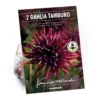 None Semi-Cactus Dahlia Black Narcissi Bulbs -Shed And Soil Sales 12882828 5875020400235009