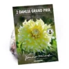 None Decorative Dahlia Grand Prix Flower Bulbs -Shed And Soil Sales 12882829 2005020400238633