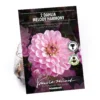 None Dark Foliage Dahlia Melody Harmony Flower Bulbs -Shed And Soil Sales 12882832 1755020400394549