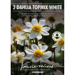 None Dahlia Single Topmix White Flower Bulbs -Shed And Soil Sales 12882839 2575020400582316