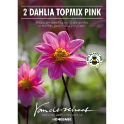 None Dahlia Single Topmix Pink -Shed And Soil Sales 12882844 1445020400598813