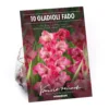 None Large Flowering Gladioli Fado Flower Bulbs -Shed And Soil Sales 12882845 1995020402596447