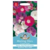 Mr. Fothergill's Morning Glory Choice Mixed Seeds -Shed And Soil Sales 12884092 9664843351735080