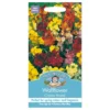 Mr. Fothergill's Wallflower Choice Mixed Seeds -Shed And Soil Sales 12884123 2904843352264847