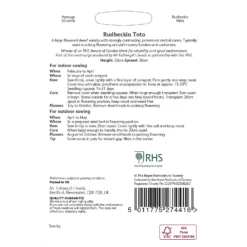 RHS Rudbeckia Toto -Shed And Soil Sales 12884806 1054843469811678