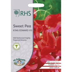 RHS Sweet Pea King Edward VII