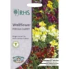 RHS Wallflower Persian Carpet -Shed And Soil Sales 12884813 4264843470535053