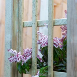 Mercia Curved Arch -Shed And Soil Sales 12888302 6134849860614286