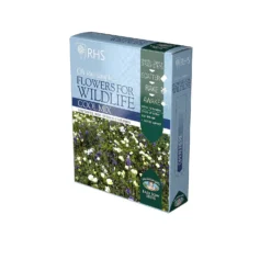 Rhs Flowers For Wildlife Cool Mix