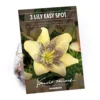 Asiatic Lily Easy Spot -Shed And Soil Sales 12889022 1565020401868059